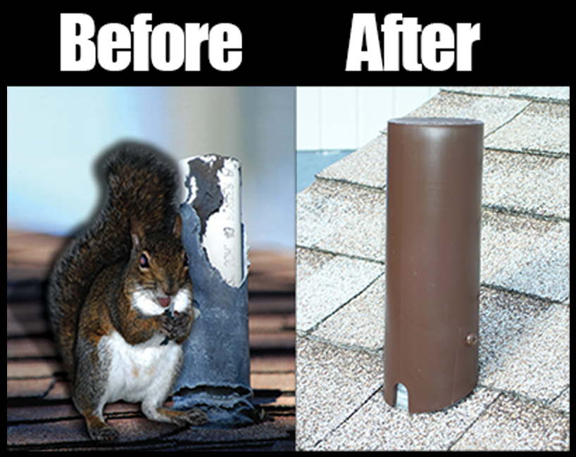 Before and After